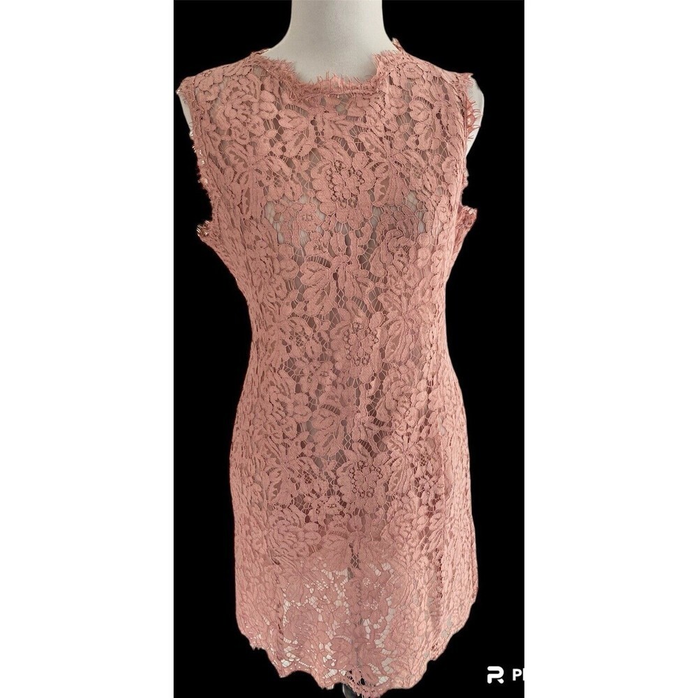 Pink Lace Sheer Sheath Dress Girly Feminine Zip Back Size 6* Front Pockets READ